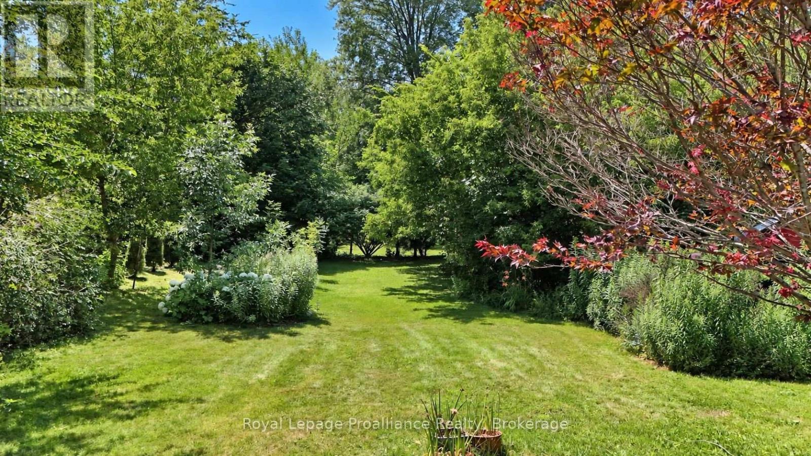 136 MACDONALD AVENUE - 23