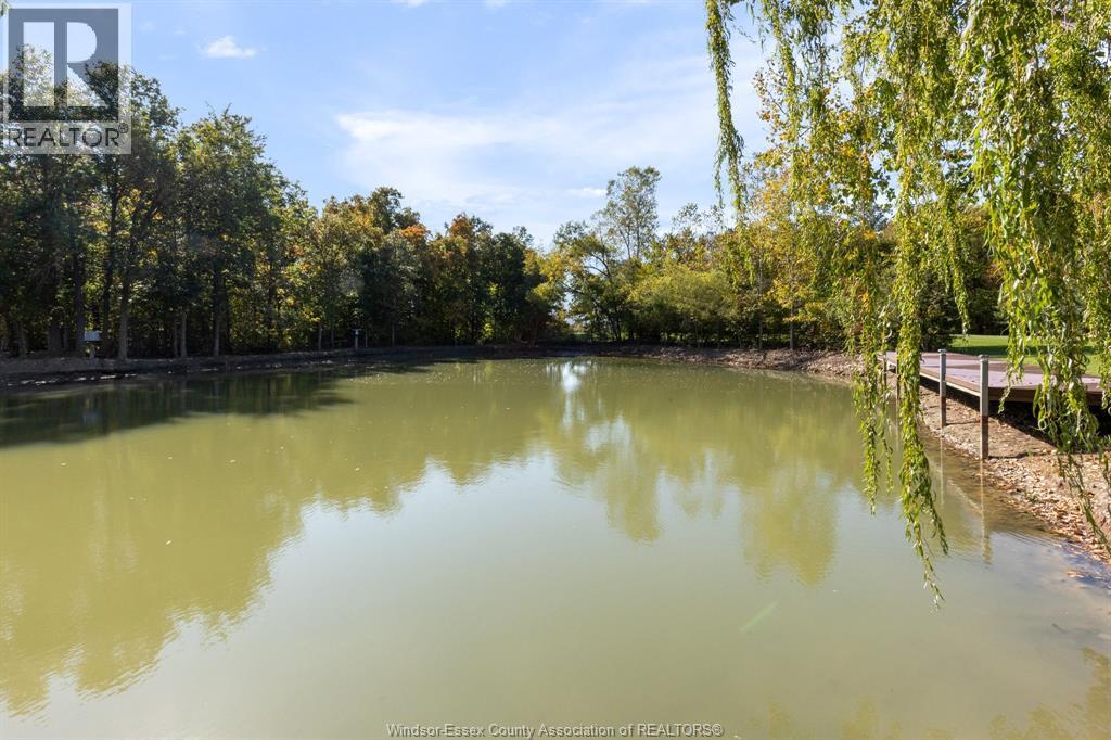8541 North Sideroad — photo 31