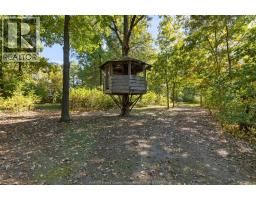 8541 North Sideroad, Amherstburg, ON N0R1J0 Photo 32