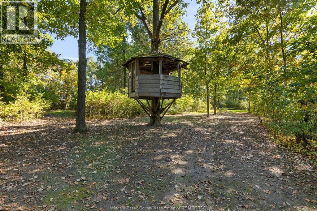 8541 North Sideroad — photo 32