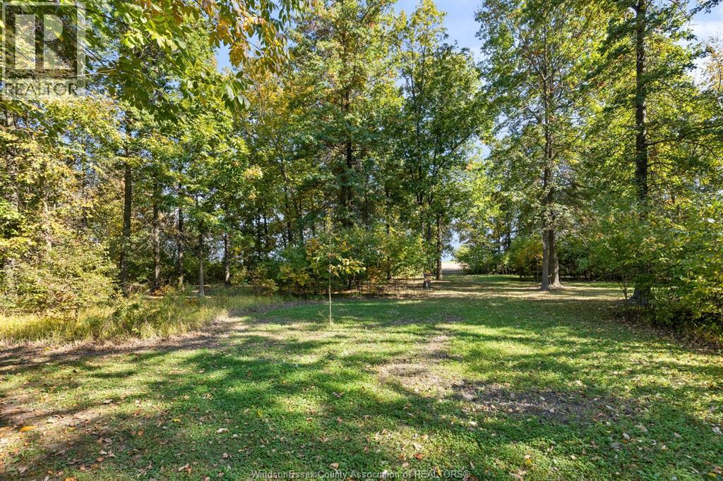 8541 North Sideroad — photo 33