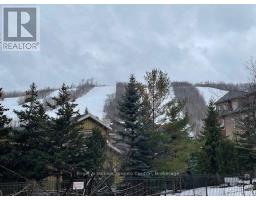 142 - 170 Jozo Weider Boulevard, Blue Mountains, ON L9Y0V2 Photo 45