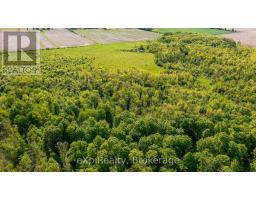 E 1/2 Lt 29-30 Con 4; Sideroad 30, Meaford, ON N0H1B0 Photo 18