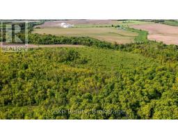 E 1/2 Lt 29-30 Con 4; Sideroad 30, Meaford, ON N0H1B0 Photo 22