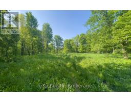 E 1/2 Lt 29-30 Con 4; Sideroad 30, Meaford, ON N0H1B0 Photo 31