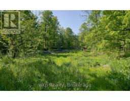E 1/2 Lt 29-30 Con 4; Sideroad 30, Meaford, ON N0H1B0 Photo 32