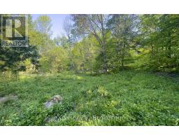E 1/2 Lt 29-30 Con 4; Sideroad 30, Meaford, ON N0H1B0 Photo 35