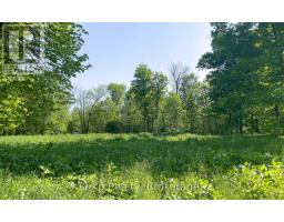 E 1/2 Lt 29-30 Con 4; Sideroad 30, Meaford, ON N0H1B0 Photo 36