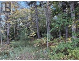 Lot Pid#70072707 School Street, Milton, NS B0T1P0 Photo 6