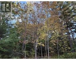 Lot Pid#70072707 School Street, Milton, NS B0T1P0 Photo 7