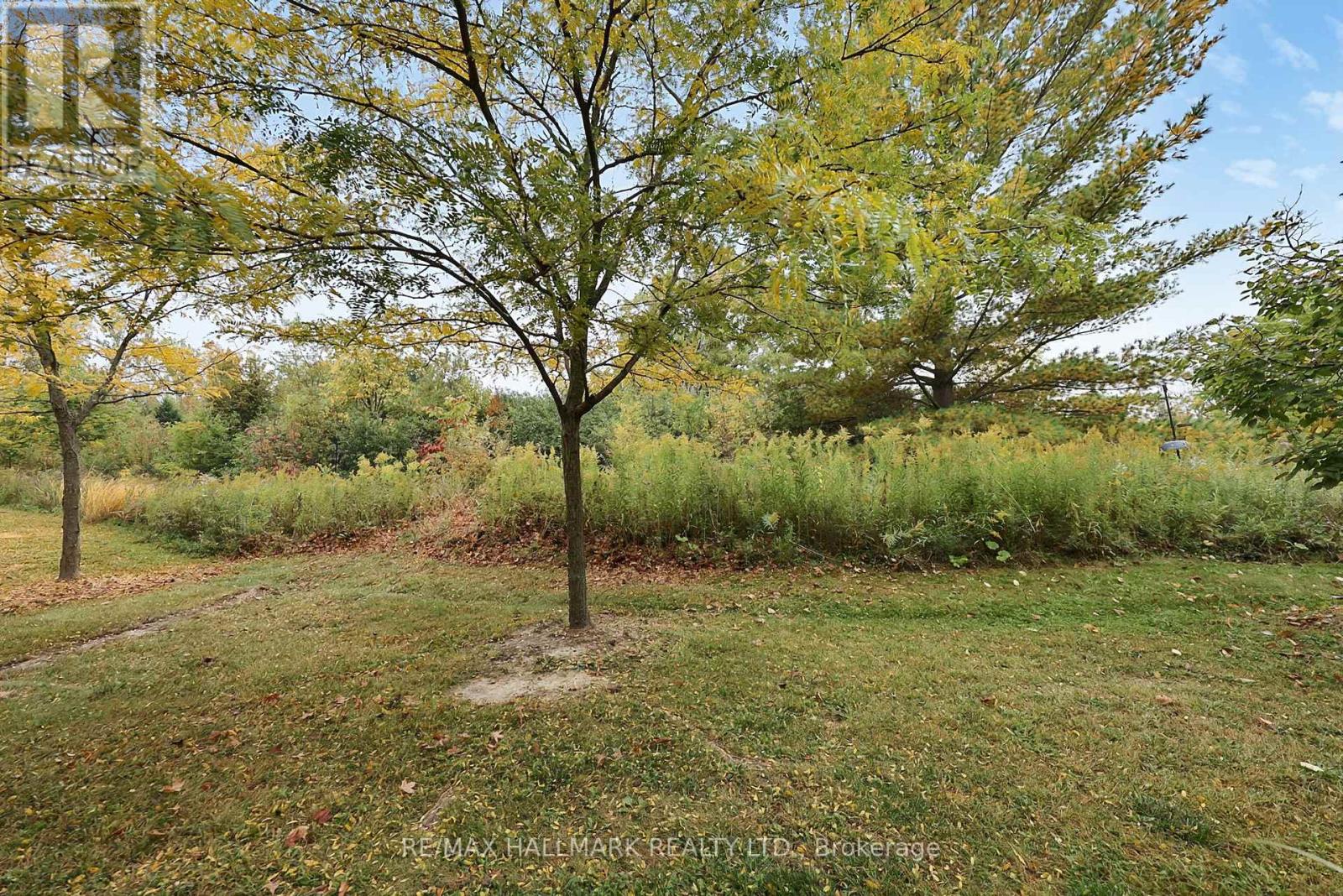 710 Wendy Culbert Crescent, Newmarket, ON photo 29