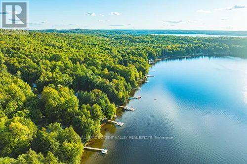 1064 Whiskey Jack Lane, Algonquin Highlands, ON photo 48