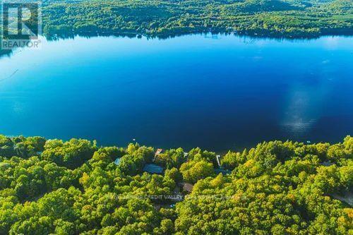 1064 Whiskey Jack Lane, Algonquin Highlands, ON photo 49