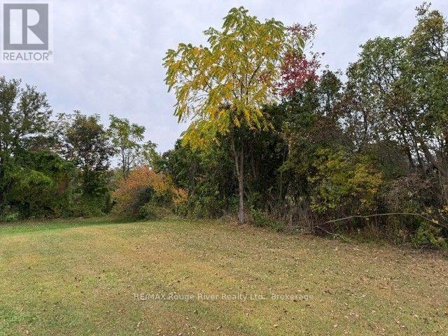 9 Cedar Street — photo 41