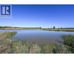 6128 Highway 3, Canfield, ON N0A1C0 Photo 40