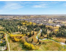 2027 Cavanagh Dr Sw, Edmonton, AB T6W3M7 Photo 54