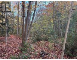 28 George Street, Bluewater, ON N0M1G0 Photo 8