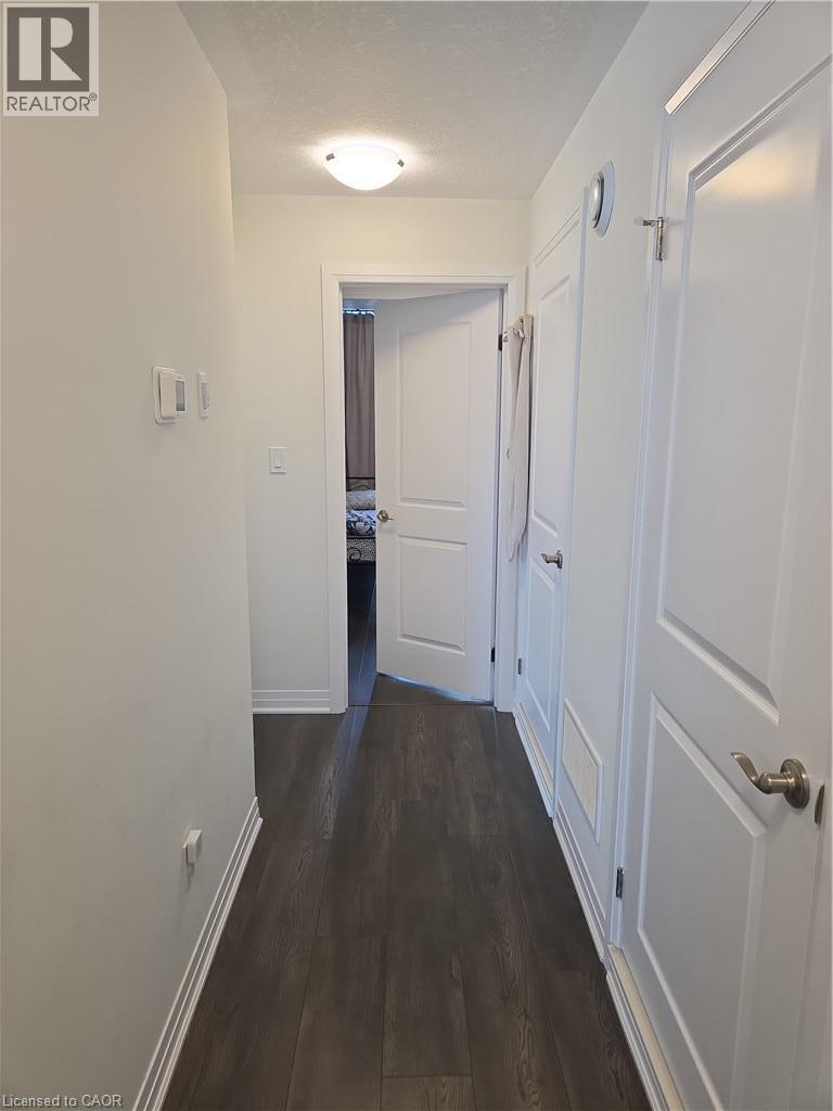 142 Foamflower Place — photo 14