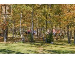 573042 Side Road 57a, Grey Highlands, ON N0C1A0 Photo 44