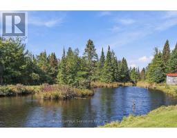 573042 Side Road 57a, Grey Highlands, ON N0C1A0 Photo 45
