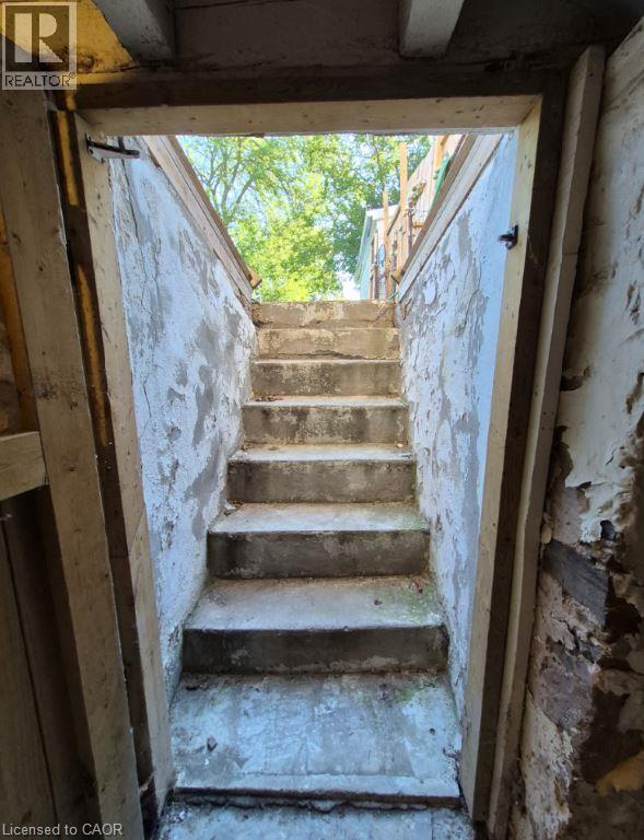 20 Carleton Street North — photo 27