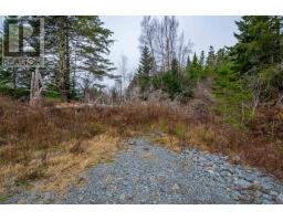 Lot Danyella's Lane, South Rawdon, NS B0N1Z0 Photo 37