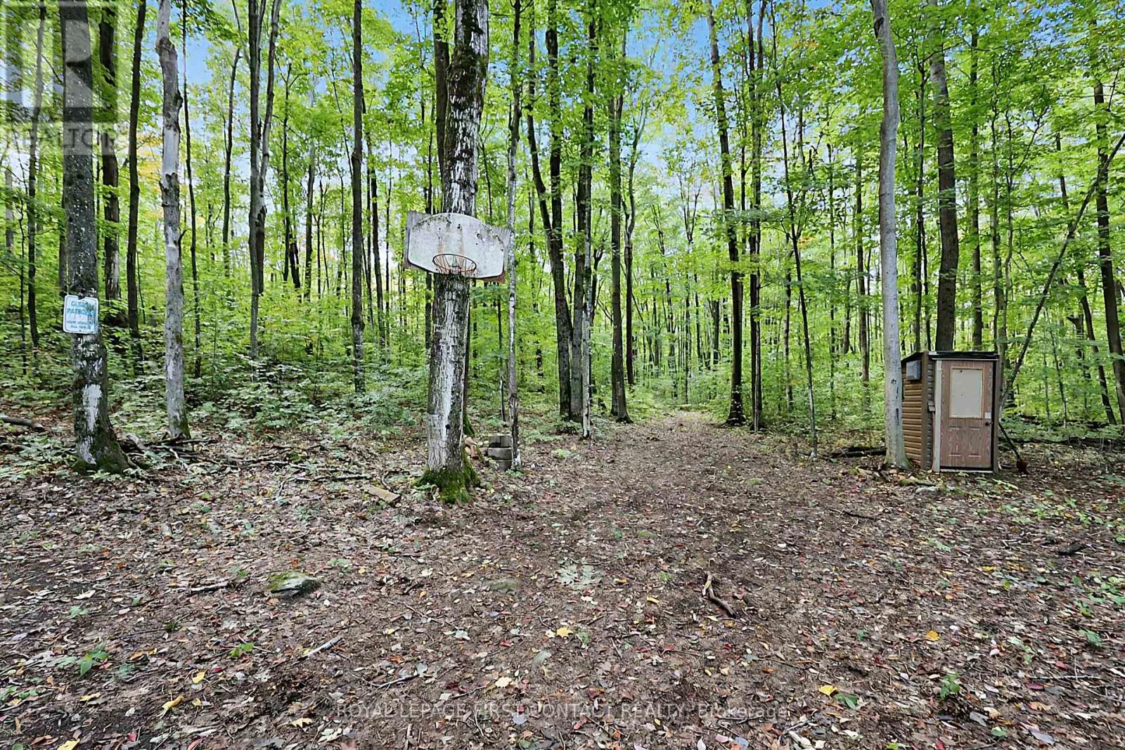 2442 Champlain Road, Tiny, ON photo 11