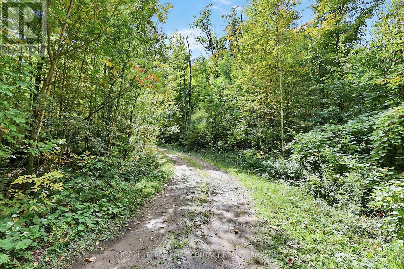 2442 Champlain Road, Tiny, ON photo 5