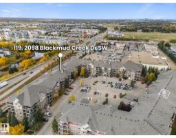 #119 2098 Blackmud Creek Dr Sw, Edmonton, AB T6W1T7 Photo 36