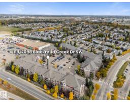#119 2098 Blackmud Creek Dr Sw, Edmonton, AB T6W1T7 Photo 37