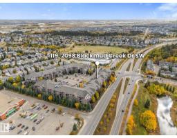 #119 2098 Blackmud Creek Dr Sw, Edmonton, AB T6W1T7 Photo 38