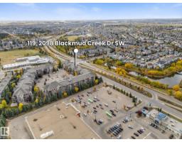 #119 2098 Blackmud Creek Dr Sw, Edmonton, AB T6W1T7 Photo 39