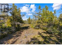 Block E Plan 571 Howard Bowman Drive, Northern Bruce Peninsula, ON N0H2R0 Photo 12