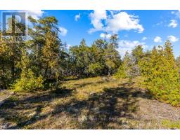Block E Plan 571 Howard Bowman Drive, Northern Bruce Peninsula, ON N0H2R0 Photo 14