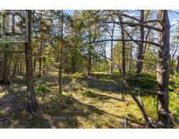 Block E Plan 571 Howard Bowman Drive, Northern Bruce Peninsula, ON N0H2R0 Photo 11