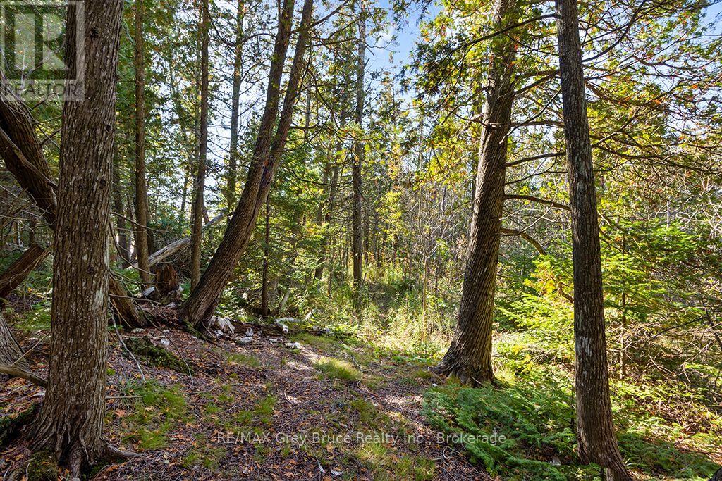 BLOCK E PLAN 571 HOWARD BOWMAN DRIVE, Northern Bruce Peninsula — photo 10
