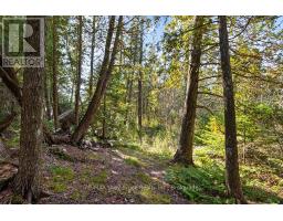Block E Plan 571 Howard Bowman Drive, Northern Bruce Peninsula, ON N0H2R0 Photo 10