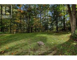 8 Ansley Street, Parry Sound, ON P2A1L6 Photo 46
