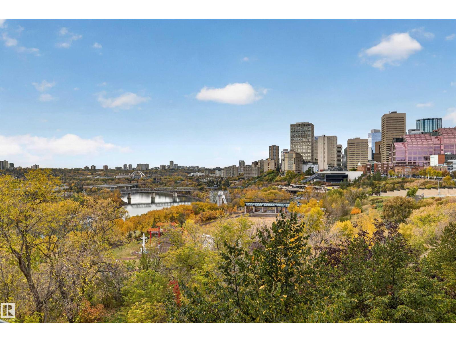#412 9503 101 AV NW - 30