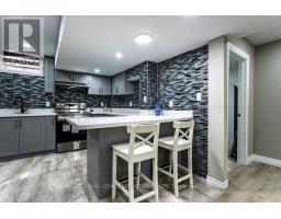 Basement - 42 Summershade Street, Brampton, ON L6P2C2 Photo 19