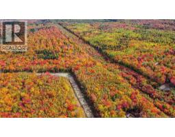 Lot Skiers Lane, photo 13