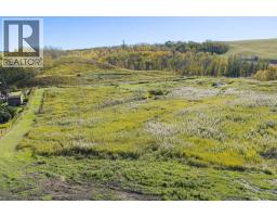 Lot 3, 258014 1119 Drive W, Rural Foothills County, AB T1S3E6 Photo 8