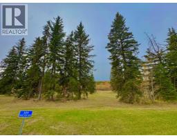 309 Valley View Drive, Rural Clearwater County, AB T4T1A7 Photo 7
