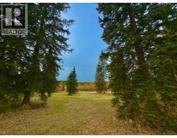 309 Valley View Drive, Rural Clearwater County, AB T4T1A7 Photo 6