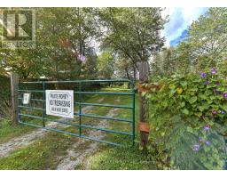 2707 Stephen Drive, Ramara, ON L0K1B0 Photo 26