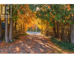 1074 West Road, Northern Bruce Peninsula, ON N0H1W0 Photo 28