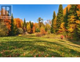 1074 West Road, Northern Bruce Peninsula, ON N0H1W0 Photo 34