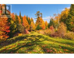 1074 West Road, Northern Bruce Peninsula, ON N0H1W0 Photo 35