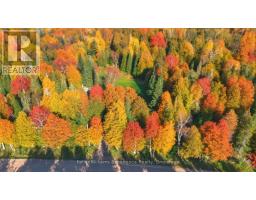 1074 West Road, Northern Bruce Peninsula, ON N0H1W0 Photo 37