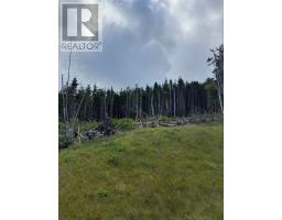 Lot 13 Southern Shore Highway thumbnail 2